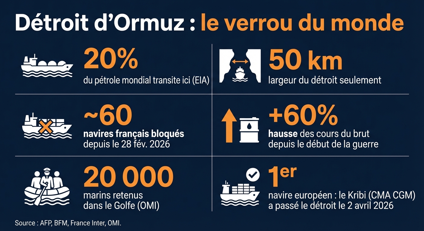 Infographie détroit d'Ormuz : impact de la guerre Iran sur le trafic maritime mondial en 2026